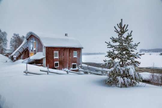 Haparanda, Sweden - 16 July 2025: View of a rustic red barn standing proudly amidst a vast expanse of snow, a single evergreen tree dusted with white, lights glowing warmly through the windows.