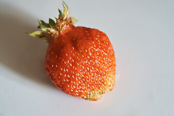 Freshly picked strawberries, close-up on a white background. Rural produce, organic berry