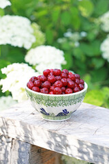 Fresh cherry in a beautiful ceramic bowl on a wooden bench in the garden. Selective focus.
