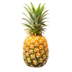 Single pineapple, vibrant yellow-gold skin, green crown (2)