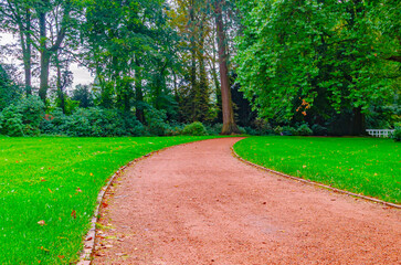 Road in the park 