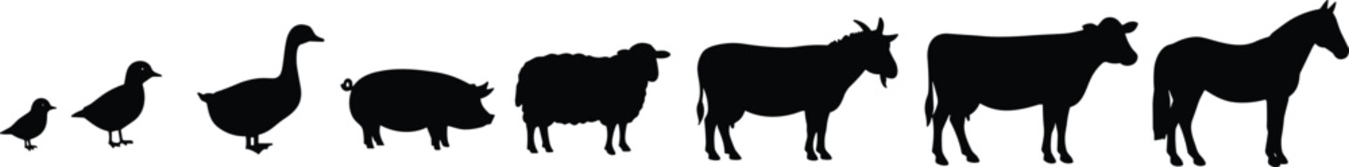 Silhouette of hand gently holding dragonfly, detailed wings, insect resting, calm moment, vector black illustration