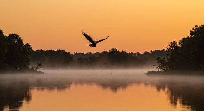 A majestic bird soars above a misty lake at sunrise, its silhouette a striking contrast against the vibrant, orange sky and mirrored water