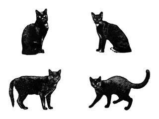 Set of black cat spray paint stencils isolated on transparent background