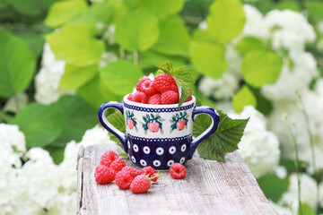 Fresh raspberry in a beautiful ceramic drinking cup on a wooden bench in the garden. Selective focus.