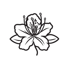 Elegant floral design with a detailed azalea blossom