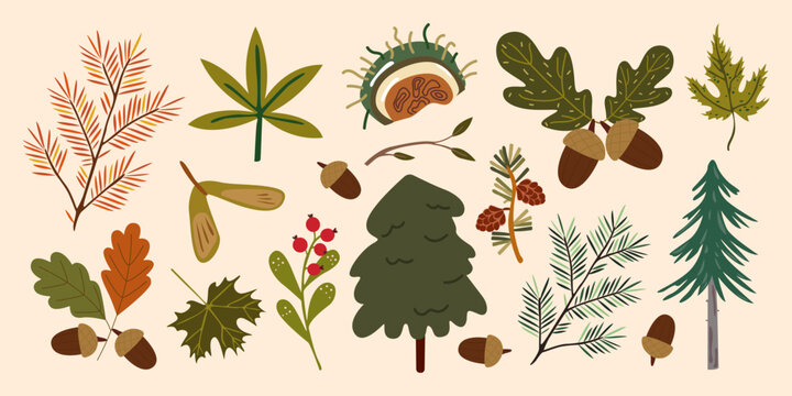 Cartoon forest trees, leaves and plants stickers in retro flat style. Bright cozy cheerful autumn elements and shapes. Vector nature illustration for greeting cards, patches, labels, stamps