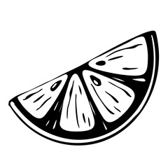 Hand Drawn Lemon Slice Stylized Black And White Illustration. Juicy Tropical Organic Fruit Citrus