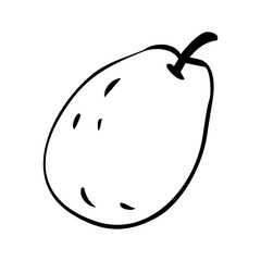 Mango Hand Drawn Sketch Vector Illustration on white background.