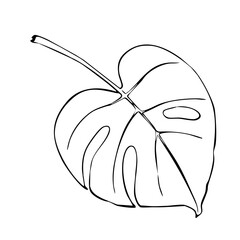 Palm Leaf line art tropical leaves exotic palm Monstera leaf and banana leaf. Botanical plant Jungle tropic hand drawn sketch print.