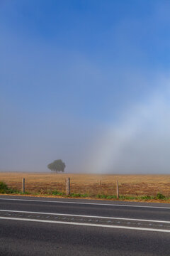 half a fogbow mistbow shining in light mist over rural paddock in farmland