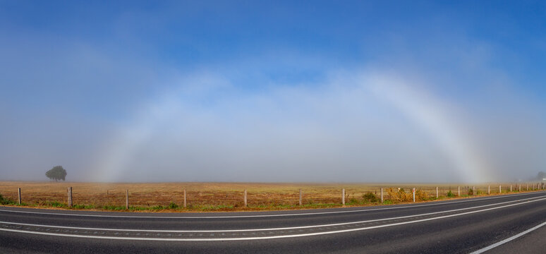 Fogbow mistbow shining in light mist over rural paddock in farmland