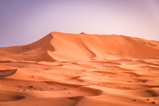 View of undulating sand dunes under a pale sky create a mesmerizing landscape of warm hues and textures, inviting silent contemplation, Sahara desert, Morocco.