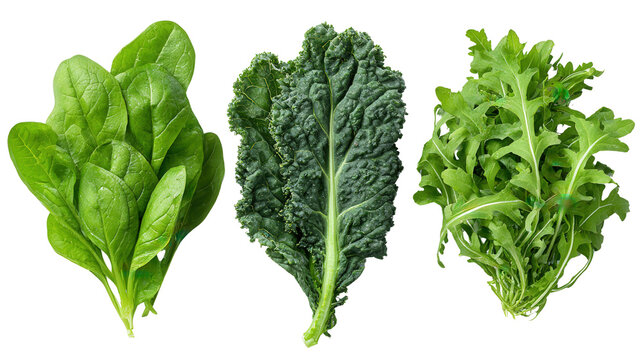 Fresh Green Leafy Vegetables: A flat lay of fresh green leafy vegetables like spinach, kale, and arugula, isolated on a Transparent background, PNG file.