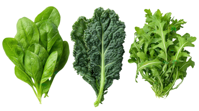 Fresh Green Leafy Vegetables: A flat lay of fresh green leafy vegetables like spinach, kale, and arugula, isolated on a Transparent background, PNG file.