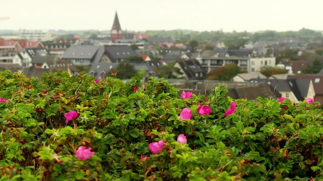 the city of westerland on the german sylt island 4k 25fps vieo