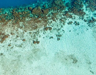 Obraz premium Blurred coral reef texture from aerial view