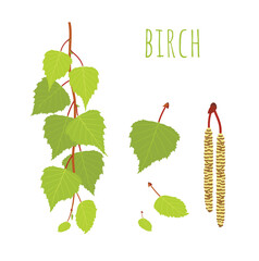 Birch set, collection. Birch branches, fresh green leaves, birch catkins. Vector illustration isolated on white background, for nature design and botanical projects.
