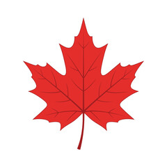 Obraz premium A modern flat vector illustration of a maple leaf