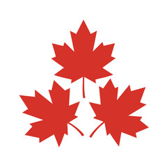Fototapeta premium A modern flat vector illustration of a maple leaf