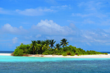 A serene tropical island with lush palm trees and vibrant turquoise water basks under a bright, partly cloudy sky.
