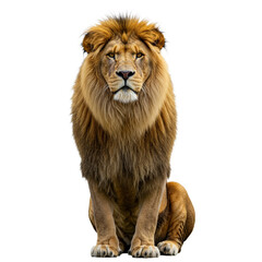 lion isolated on transparent background png
