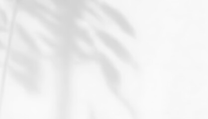 Natural Foliage Sheet with Summer Vibes and Blur