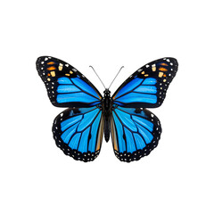Striking blue butterfly with delicate details and vibrant colors on transparent background