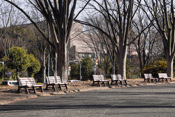 Empty park benches line a paved path under bare winter trees, with a distant building visible.