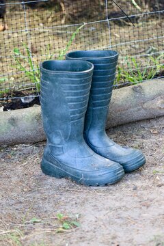 Czrane kalosze w ogrodzie. Buty gumowe do pracy w polu i na działce. Obuwie robocze