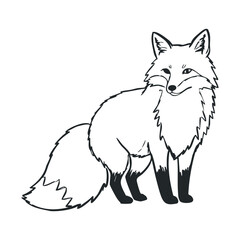 Obraz premium Line art of a standing fox with bushy tail and pointed ears