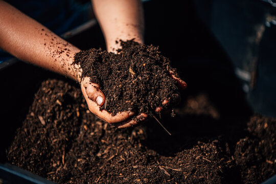 A pair of hands holding and sifting through rich, dark soil.