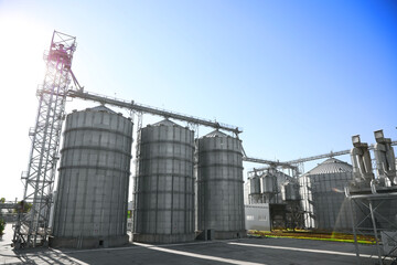 Obraz premium Modern granaries for storing cereal grains outdoors