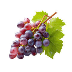 Fototapeta premium Fresh red grapes with green leaves and water droplets isolated on transparent background