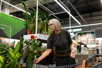 Shopping experience of a modern woman selecting plants in a home goods store