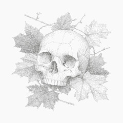 Skull is drawn on a leaf. Stipple style sketch with irregular halftone texture, photocopy paper and rough threshold.