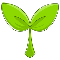 Watercolor of plant sprout Isolated on transparent background