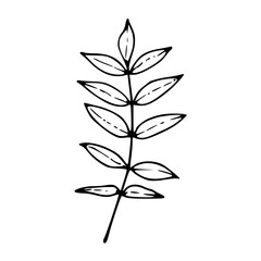 simple leaf branch vector illustration