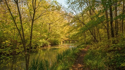Obraz premium Trail Through Tanyard Creek Nature Area