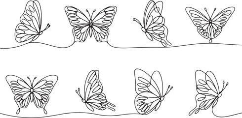 Fototapeta premium Delicate line art butterflies in various poses butterfly drawing