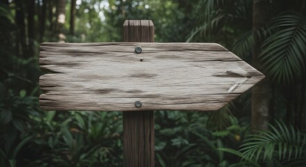 Weathered Wooden Sign Pointing Right in Lush Greenery
