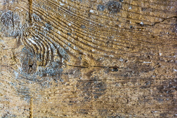 asse in legno