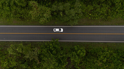 A road in a deep forest with a car running at high speed.	