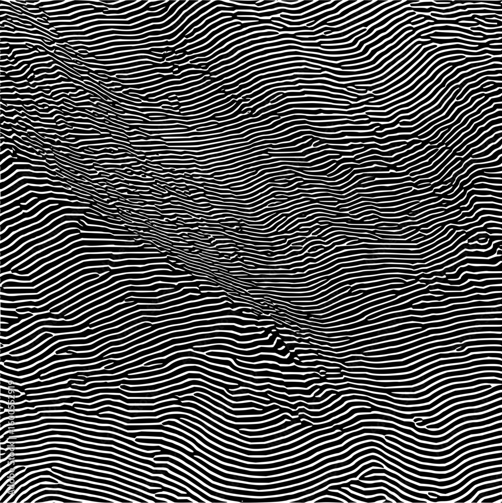 Leinwandbilder Abstract landscape with undulating black and white lines creating a topographic effect view