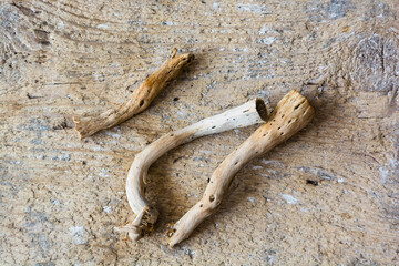 legno