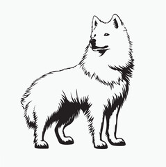 Obraz premium vector illustration of a wolf