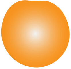 Orange fruit simple flat illustration 