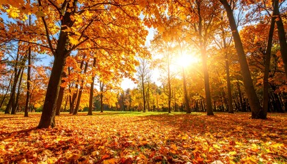 Autumn park scene with golden leaves