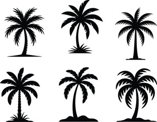 Fototapeta premium Collection of six distinct black silhouette palm trees on white background