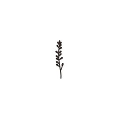 botanical plants, herbs, and wildflowers